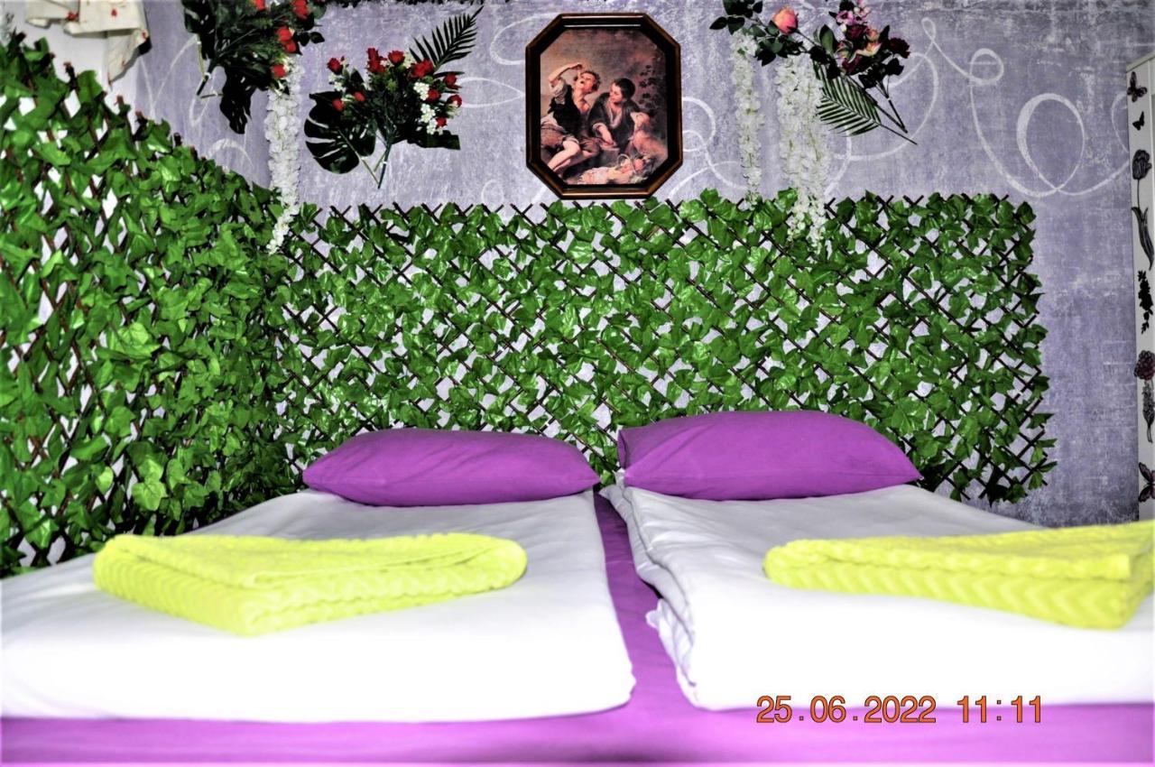 Social Guest House Sofya Dış mekan fotoğraf