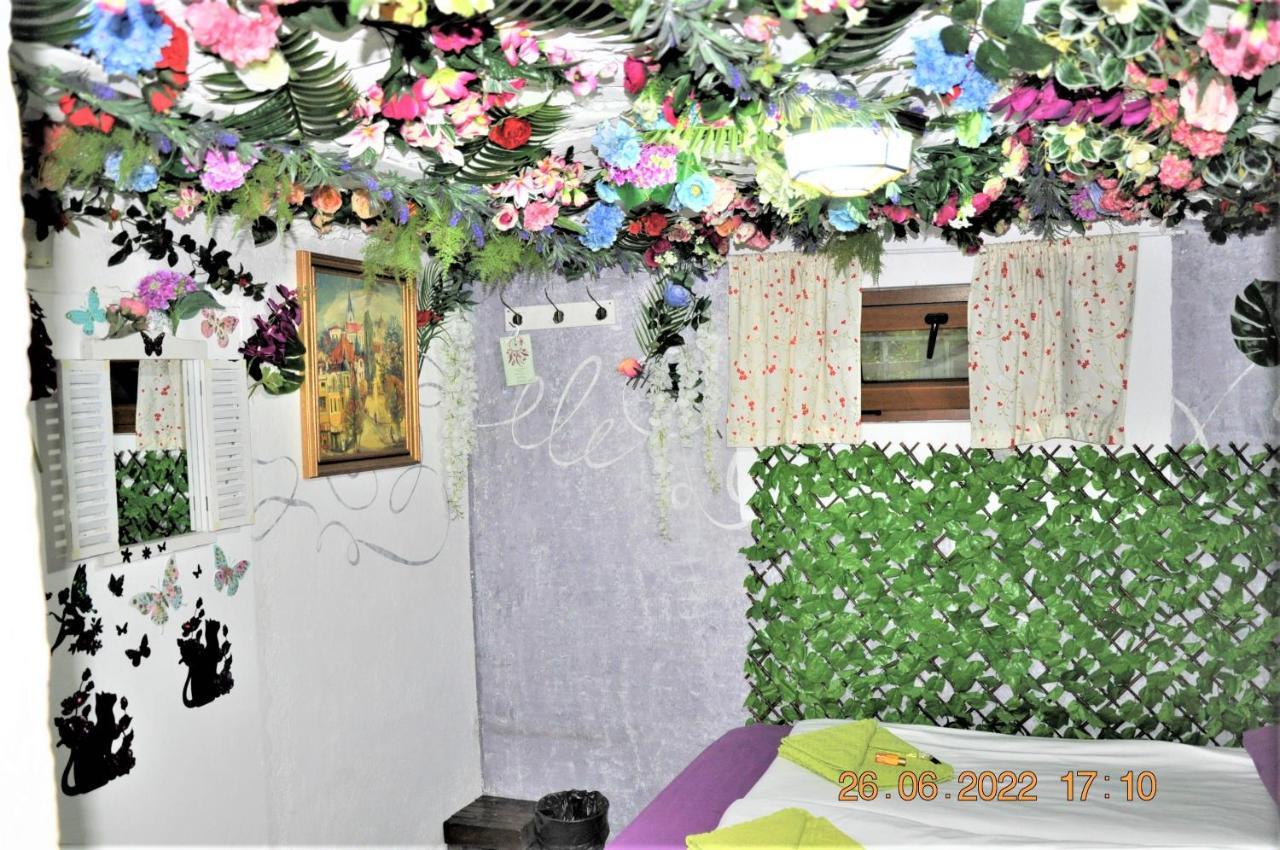 Social Guest House Sofya Dış mekan fotoğraf